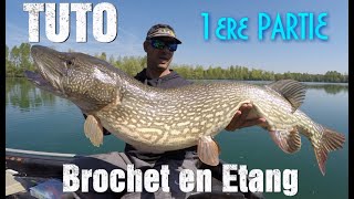 Techniques de pêche du brochet spécial Ouverture et printemps [upl. by Howzell938]