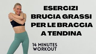 quotEsercizi Brucia Grassi per le Braccia a Tendina Rassoda e Tonifica con un Allenamento Miratoquot [upl. by Catharine118]