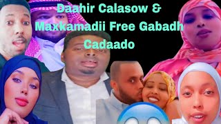 Daahir Calasow 2024 amp Maxkamadii Free Gabadh Cadaado Qaybtii labaad [upl. by Aihsila]