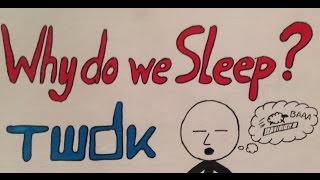 Why do we Sleep Science Video [upl. by Gerladina]