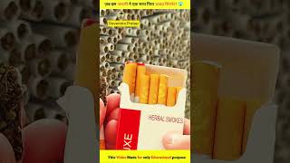 Testing fake Hollywood cigarttes😱 shorts Ytshorts Devendrapratap [upl. by Eugenle]