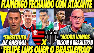 NOVO CAMISA 9 FECHANDO FLAMENGO vai ASSINAR com ATACANTE FELIPE LUIS QUER o BRASILEIRÃO [upl. by Diann]