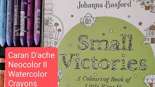 Small Victories with NEOCOLOR II  johannabasford adultcolorbook carandache [upl. by Lil]