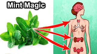 Science Based Health Benefits of Mint [upl. by Lellih560]