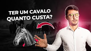 Quanto custa TER UM CAVALO Valores e gastos mensais [upl. by Dnarb]