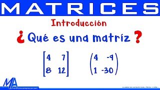 Matrices Introducción  Conceptos básicos [upl. by Holmes]