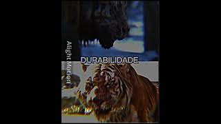 Rei da Montanha vs Shere Khan [upl. by Serle]