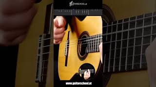 Rumba Flamenco Solo  Guitar Tutorial with TABs [upl. by Nepean]