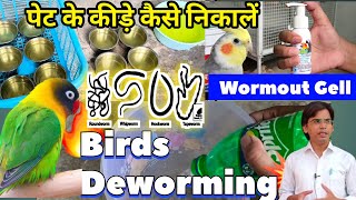 Full Course of Birds Deworming Before Breeding  Deworming is Important for All Birds  Wormout Gel [upl. by Mcgraw451]