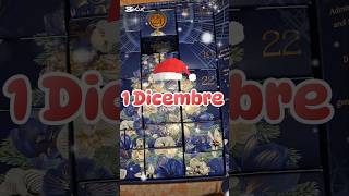 1 Dicembre 🎄 Apriamo i Calendari dellAvvento [upl. by Aksehcnarf]