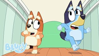 Bluey in Hindi 💙 🇮🇳  योगा Ball 🧘 🟢  Full Episode  Hindi Cartoon for Kids [upl. by Janifer834]