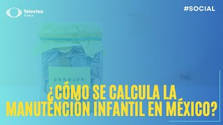 ¿Cómo se calcula la pensión alimentaria ¿Cómo se calcula la pensión alimenticia en México [upl. by Ratna]