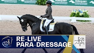 RELIVE ParaDressage  Grade IV Individual  FEI World Equestrian Games 2018 [upl. by Gloriane]