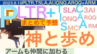 PLTRパランティア 神と歩め 買い場探し【全力】TSLAテスラC3AIIONQSMCIARQQARMアーム 株価をまとめて予想ＡＩ革命に期待しろ [upl. by Xirtaeb]