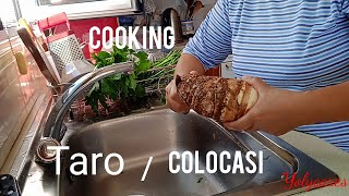 COOKING TARO Colocasia with pork on my own recipe [upl. by Annasoh]