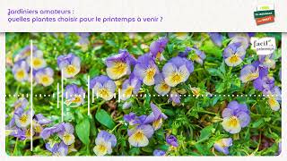 Facilprintemps®  Jardiniers amateurs  quelles plantes choisir pour le printemps à venir [upl. by Trelu285]