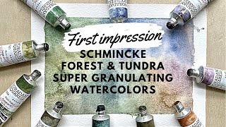 Schmincke Forest and Tundra Supergranulating Watercolours first impression [upl. by Hennessey]