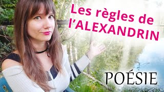 COURS DE POÉSIE  Les règles de lALEXANDRIN [upl. by Atekihs]