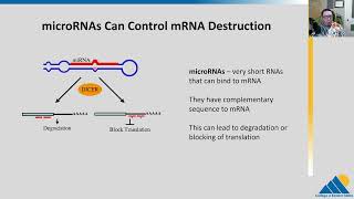 BIOL201 Ch165  Eukaryotic PostTranscriptional Gene Regulation [upl. by Naarah]