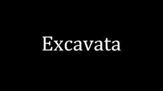 How to pronounce Excavata [upl. by Crelin755]