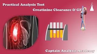 E8Creatinine Clearance ampGFR كل ما يخص العملى ومين الادق [upl. by Hsur]