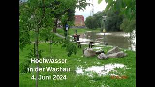 WACHAU HOCHWASSER 2024 4 JUNI IN DER WACHAUNader Michael AJM [upl. by Vitia]