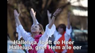 Halleluja looft de Heer [upl. by Pearl]