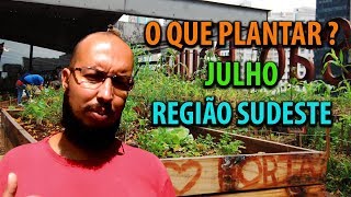 O QUE PLANTAR EM JULHO   REGIÃO SUDESTE  feat André Toledo [upl. by Candra]