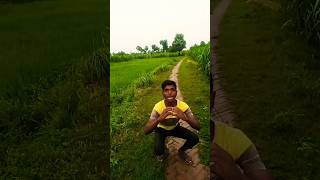 ikai Ka Dil aashikana ke bhitariya vah Dil lagal BA tohara se Bhojpuri gana Vijay viralvideos [upl. by Servetnick49]