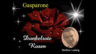 Dunkelrote Rosen bring ich  Walther Ludwig [upl. by Nnylf]