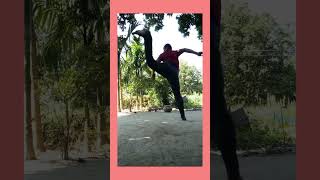 Spin back kick [upl. by Petunia]