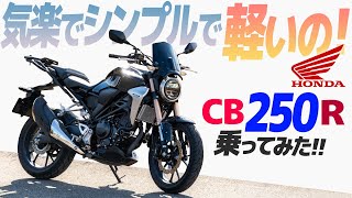 ホンダ CB250R 乗ってみた！【モトブログ】HONDA CB250R 2020 MODEL Motorcycle review in Japan ツーリング モトブログ バイク [upl. by Enniroc]