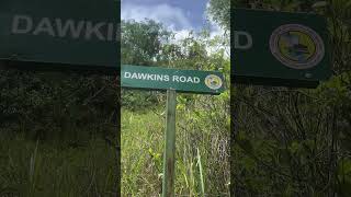 Dawkins Road James Hill Clarendon Jamaica [upl. by Archy]