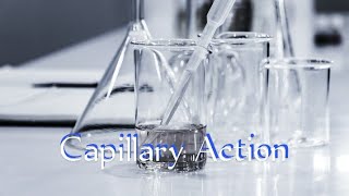 Capillary Action Simply Explained Science and Arts [upl. by Berkeley177]