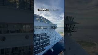 Cruise News Bed Bugs Found On Royal Caribbean Cruise [upl. by Ahsiekrats837]