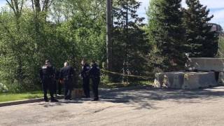 Pittsfield Police Investigate Body Found [upl. by Anaiad]