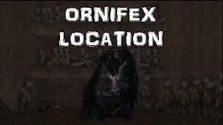 Dark Souls 2 Ornifex Location Boss Weapon NPC [upl. by Mika177]