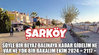 ŞÖYLE BİR BEYAZ BALİNAYA KADAR GİDELİM NE VAR NE YOK BİR BAKALIM EKİM 2024  2117 [upl. by Nerrej]