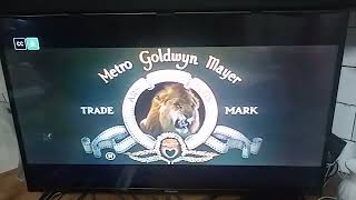 MetroGoldwynMayer 1954 [upl. by Leeanne92]