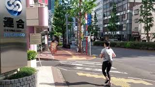 ShinOchanomizu Station Tokyo Japan [upl. by Wendie992]