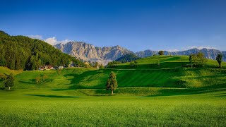 4K UHD Video  Beautiful Meadows  Grassland  Grassland Habitat [upl. by Geilich]