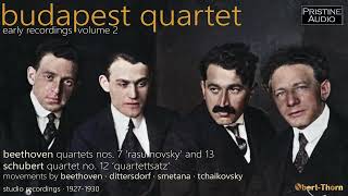 BUDAPEST QUARTET Beethoven Qt 7 Rasumovsky 1929  Pristine PACM123 [upl. by Gifford927]