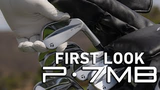 Testing the AllNew P·7MB Irons  TaylorMade [upl. by Curt698]