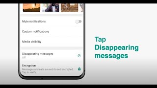 How To Send Disappearing Messages  WhatsApp [upl. by Ole]