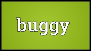 Buggy Meaning [upl. by Nawram]