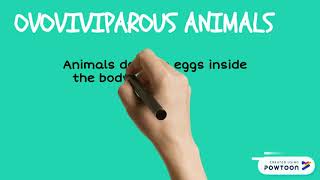 Oviparous viviparous and ovoviviparous animals [upl. by Shaine]