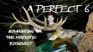 A Perfect 6 Bowhunting The Majestic Roosevelt HD [upl. by Leziar741]