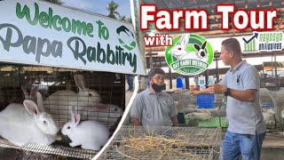 FARM TOUR Rabbit Farming Philippines  Negosyo Philippines [upl. by Airotahs]