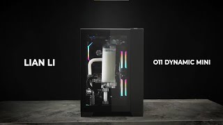 LIAN LI  O11 DYNAMIC MINI Official Video [upl. by Olin]