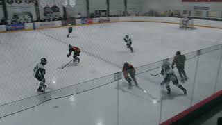 Seeding Gm6 Mustangs vs Springbank Period 1 Segment 1 [upl. by Analad]